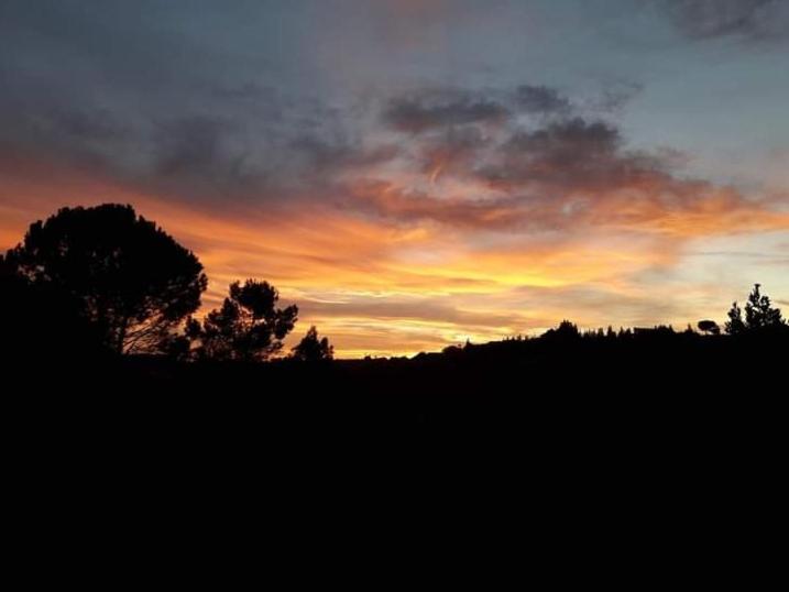 Alla Romana Villa Caltagirone Dış mekan fotoğraf
